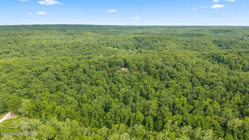 If you're looking for peace, privacy, and room to roam, this - photo 6