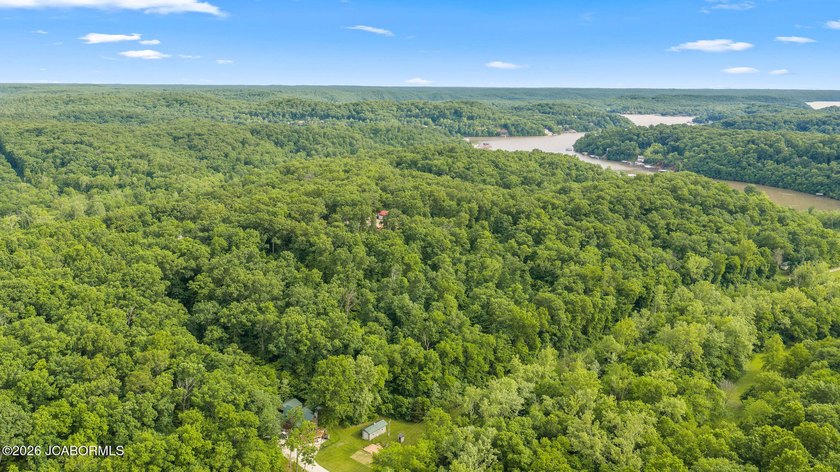 If you're looking for peace, privacy, and room to roam, this - photo 7