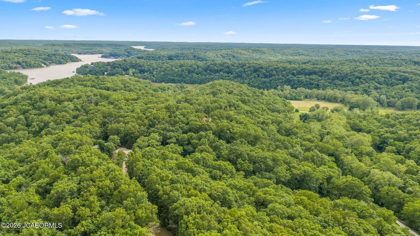 If you're looking for peace, privacy, and room to roam, this - photo 8