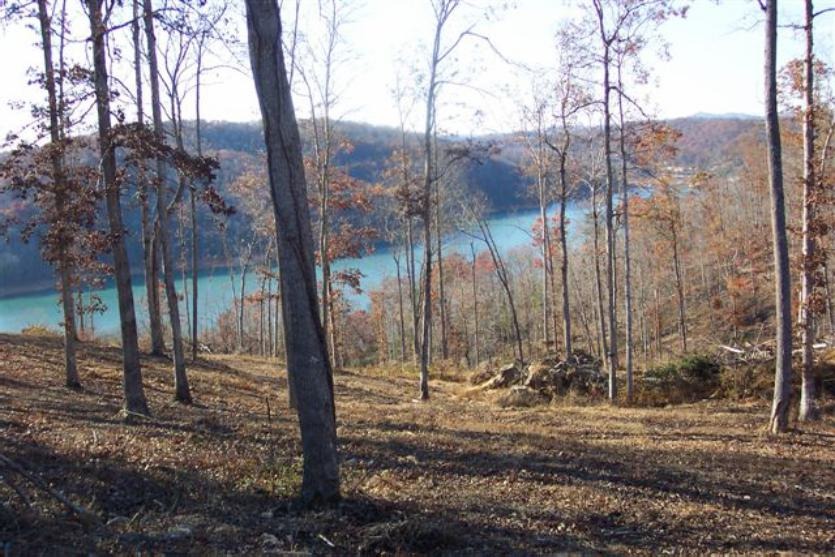 Beautiful Property, Gated Community, Lots of Amenities - photo 3