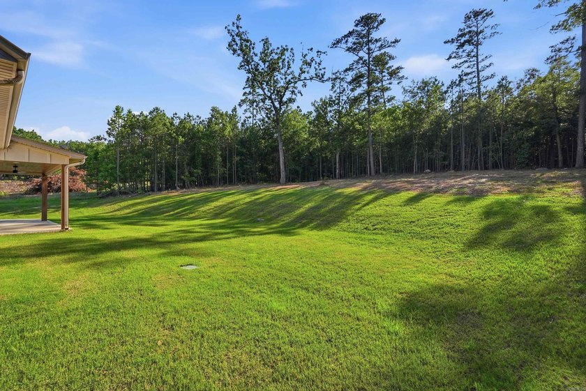 This 4 bed, 3.5 bath home sits on a flat 0.5 acre lot with 115' - photo 43