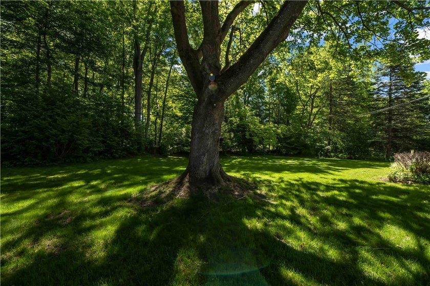 Beautifully updated 4-bedroom, 1.5-bath Colonial nestled on a - photo 30