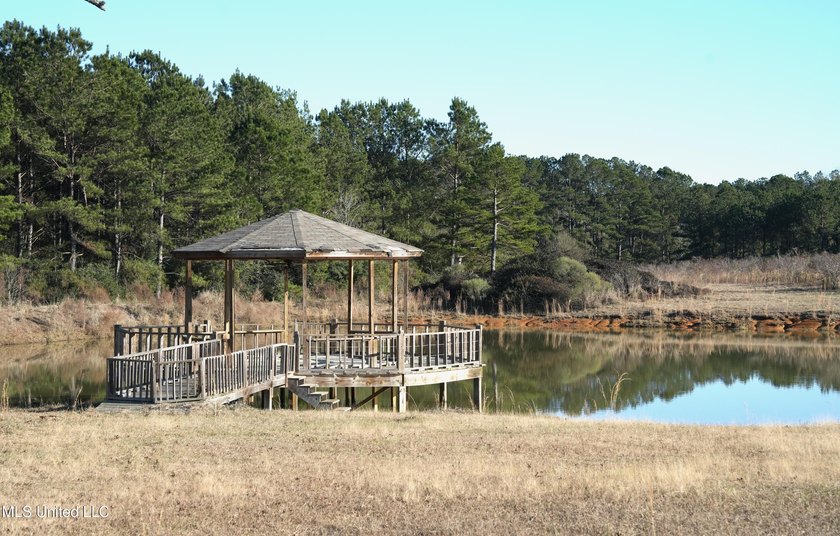 This exceptional 40+/- acre tract in Southwest Mississippi - photo 30