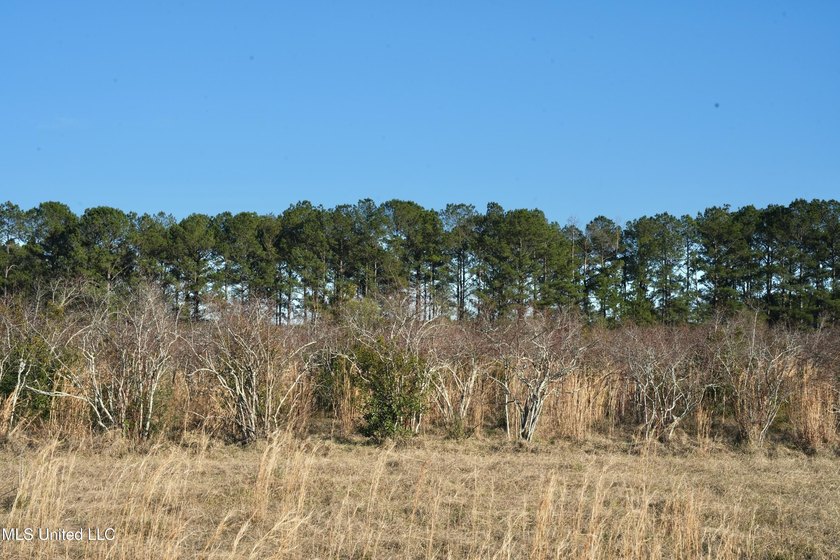 This exceptional 40+/- acre tract in Southwest Mississippi - photo 32