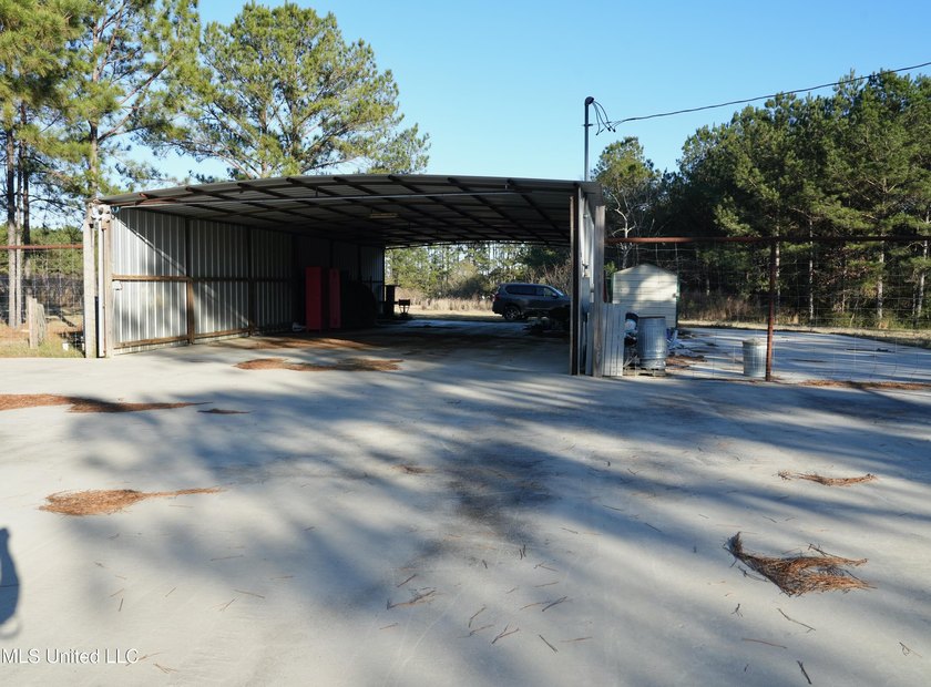 This exceptional 40+/- acre tract in Southwest Mississippi - photo 34