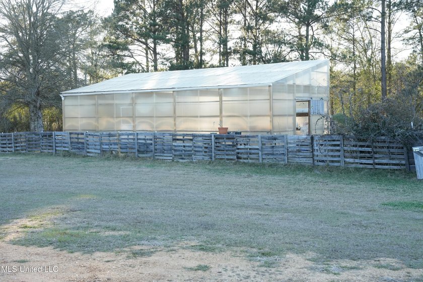This exceptional 40+/- acre tract in Southwest Mississippi - photo 44