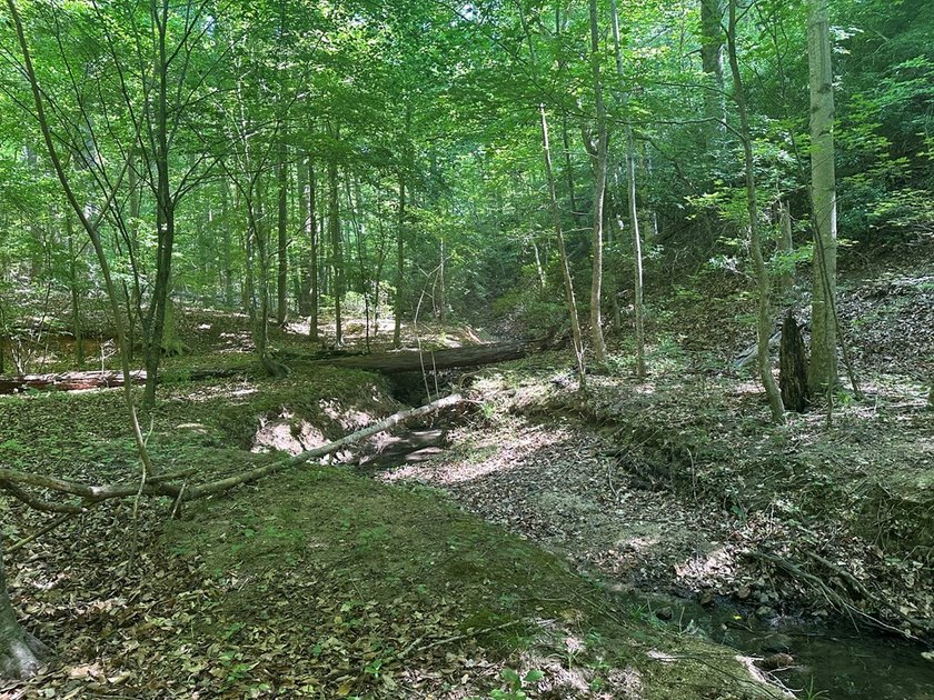 #73330-Senequa Surprise!! A charming set of three lots totaling - photo 8