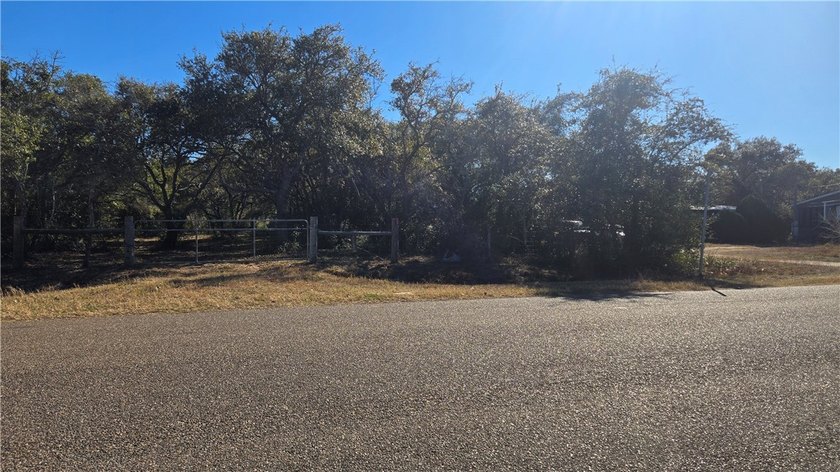 84.63 Acres close to town with 3 access points! Gated entrances - photo 4