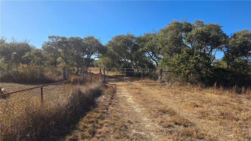 84.63 Acres close to town with 3 access points! Gated entrances - photo 5