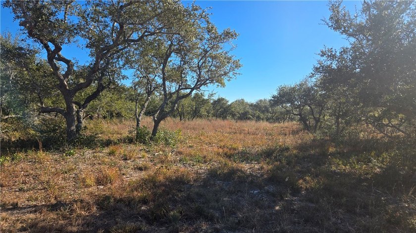 84.63 Acres close to town with 3 access points! Gated entrances - photo 6