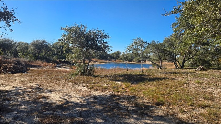 84.63 Acres close to town with 3 access points! Gated entrances - photo 7