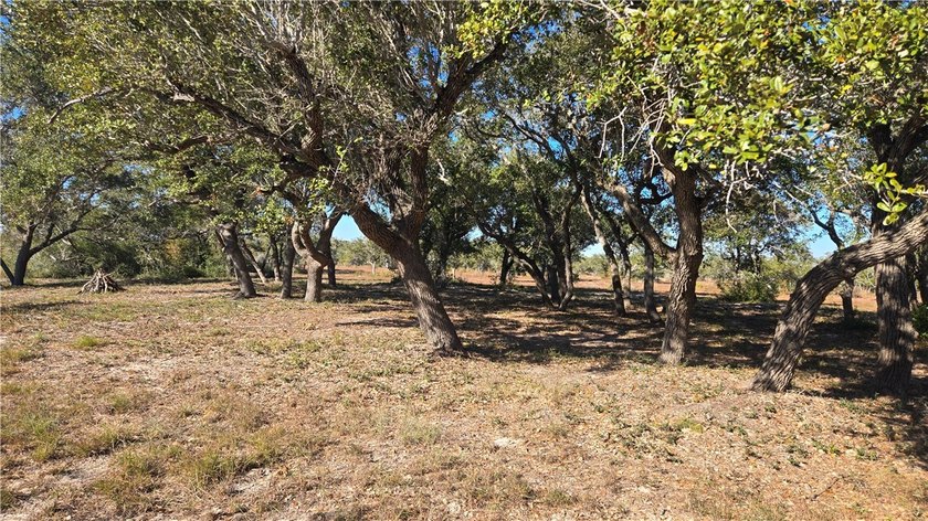 84.63 Acres close to town with 3 access points! Gated entrances - photo 8