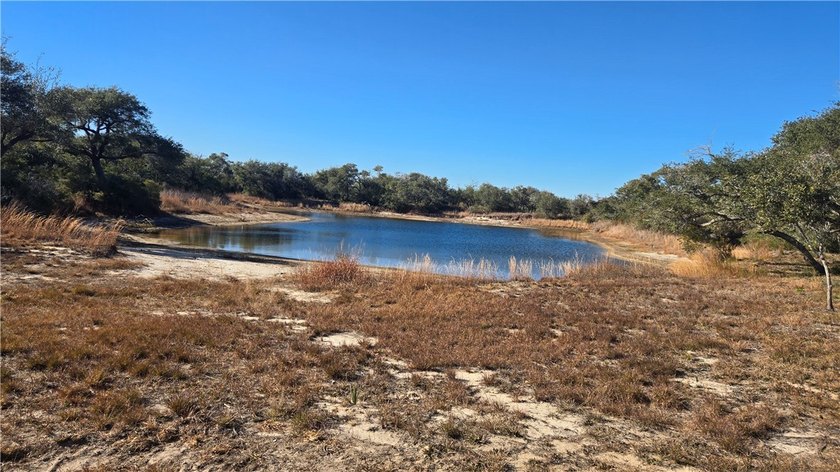 84.63 Acres close to town with 3 access points! Gated entrances - photo 9