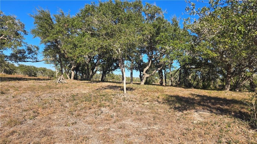 84.63 Acres close to town with 3 access points! Gated entrances - photo 10
