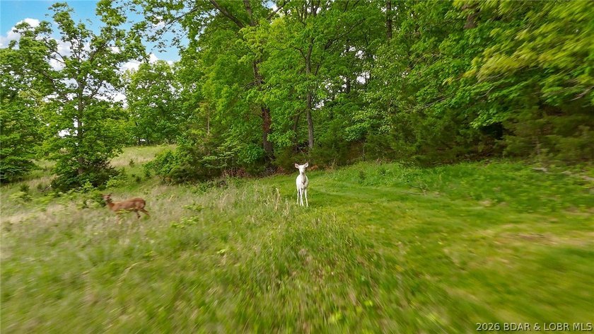 Peaceful Valley Ranch offers 48+/- acres in Morgan County near - photo 25