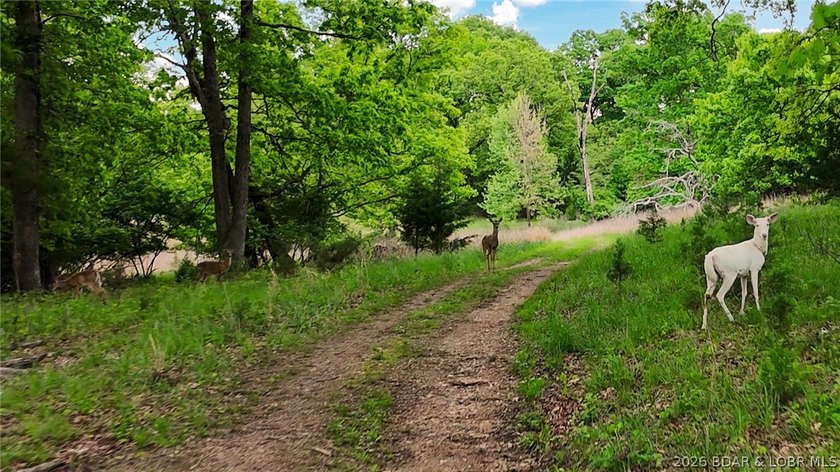 Peaceful Valley Ranch offers 48+/- acres in Morgan County near - photo 30