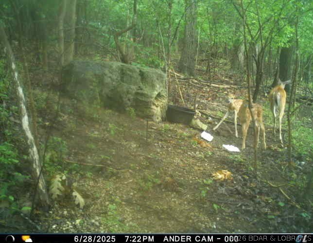 Peaceful Valley Ranch offers 48+/- acres in Morgan County near - photo 46