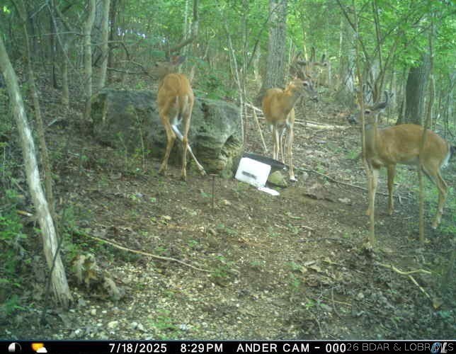 Peaceful Valley Ranch offers 48+/- acres in Morgan County near - photo 50