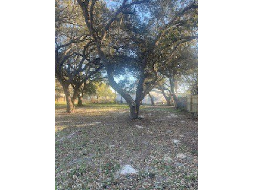 Great opportunity to own a cleared lot in a well-developed - photo 3