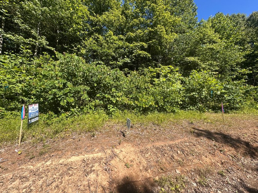 Located near the dead end of Dulworth Road this property has - photo 3