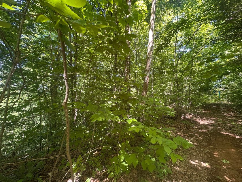 Located near the dead end of Dulworth Road this property has - photo 4