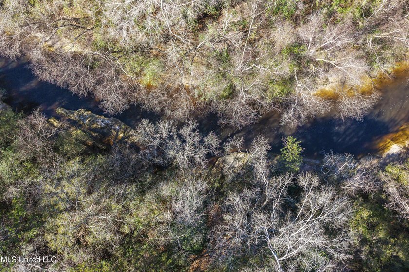 Unique Opportunity! Purchase both 10120 Road 307 and 10130 Road - photo 46