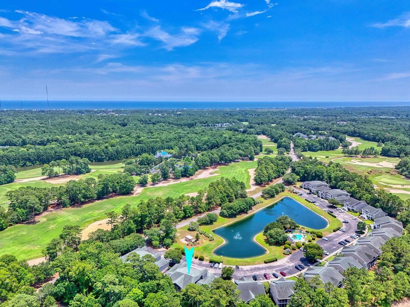 Top floor True Blue condo boasts single-level living on the - photo 30