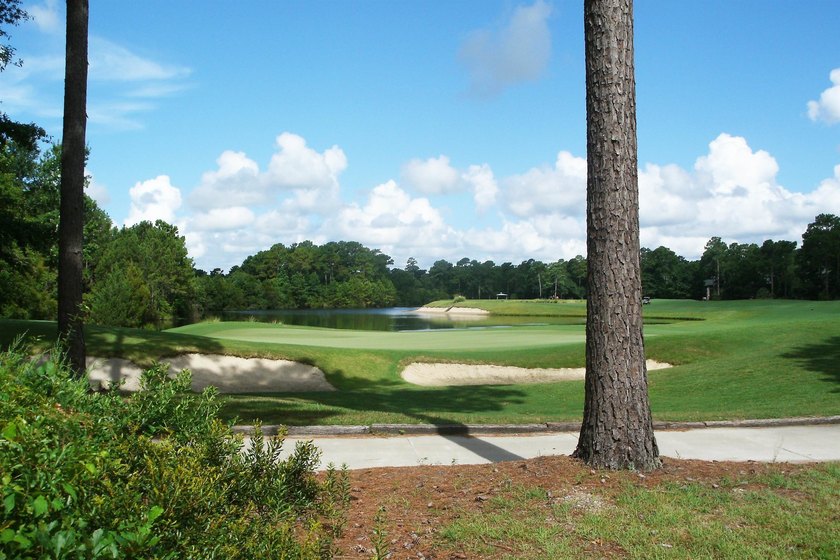 Uncommon opportunity in River Oaks Estates, off Waverly Road - photo 42
