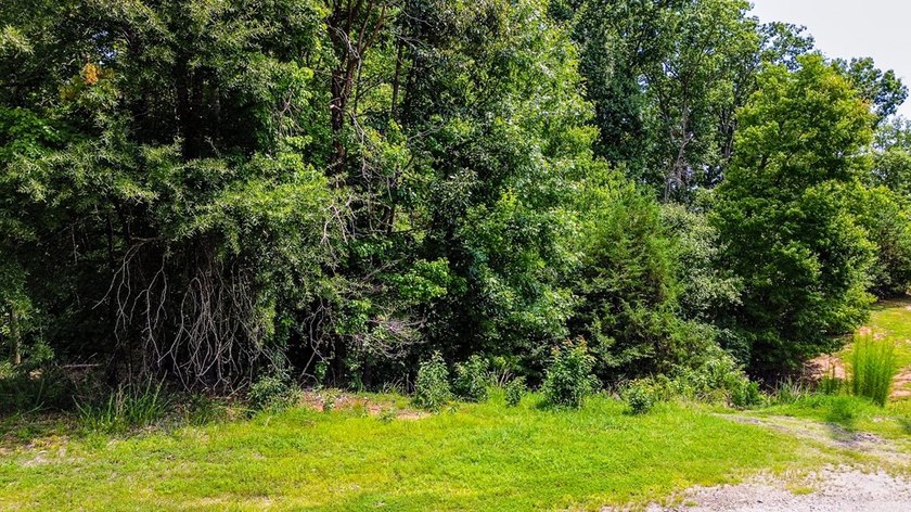 Check out this lake lot in the desirable Conifer Cove - photo 5