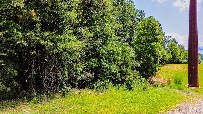 Check out this lake lot in the desirable Conifer Cove - photo 6