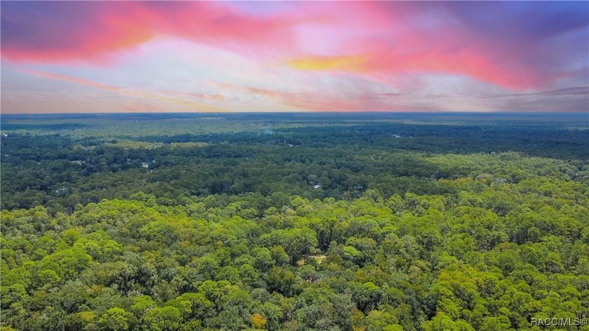 This beautiful 0.72-acre wooded property offers the perfect - photo 11