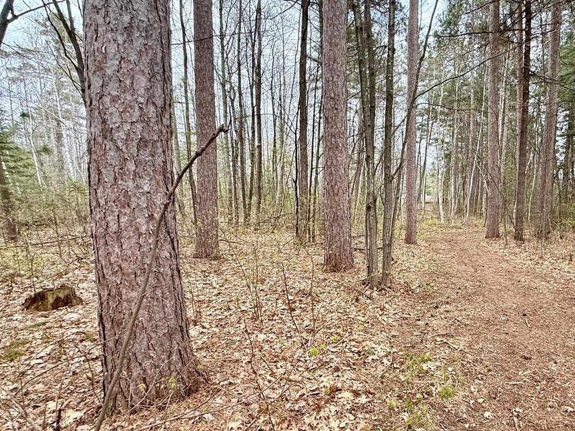 Tucked beneath a canopy of mature Northwoods hardwoods and pines - photo 12