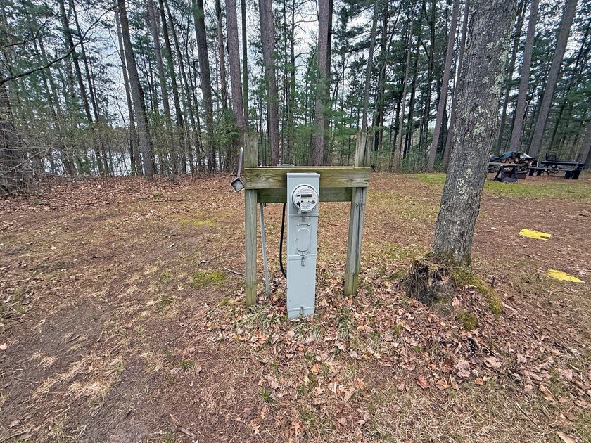 Tucked beneath a canopy of mature Northwoods hardwoods and pines - photo 14