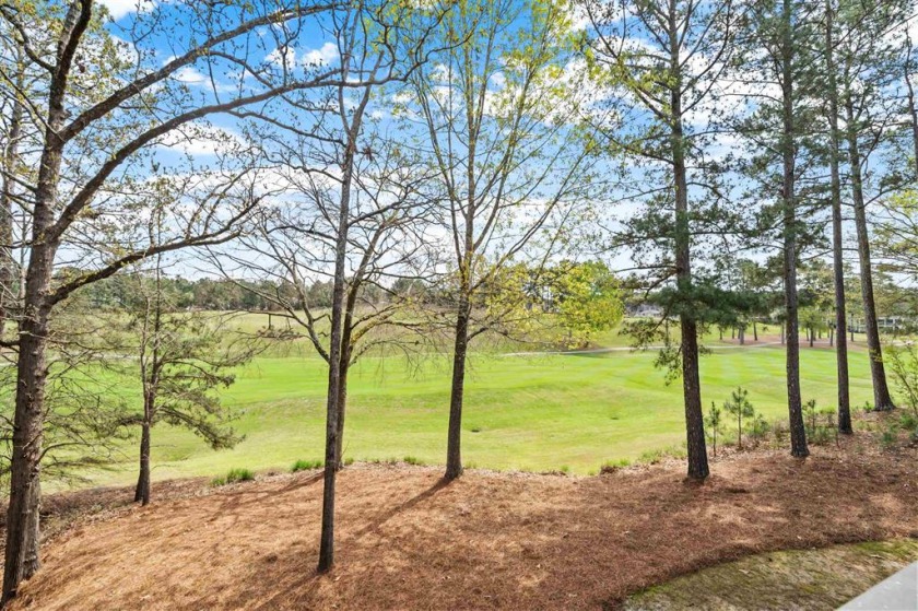 Wonderful Golf Course Home...Price Improvement SOLD - photo 4