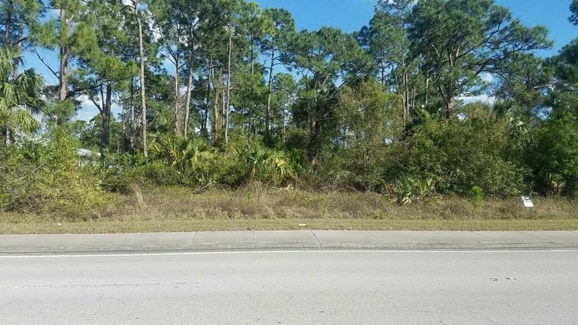 PRIME CORNER LOT FOR OFFICE BLDG. MEDICAL, WORSHIP CTR. &amp; - photo 4