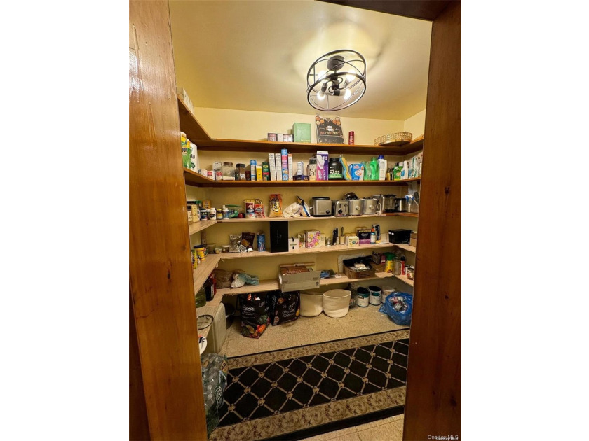 Fantastic opportunity to turn this unique multifamily lot with 2 - photo 16