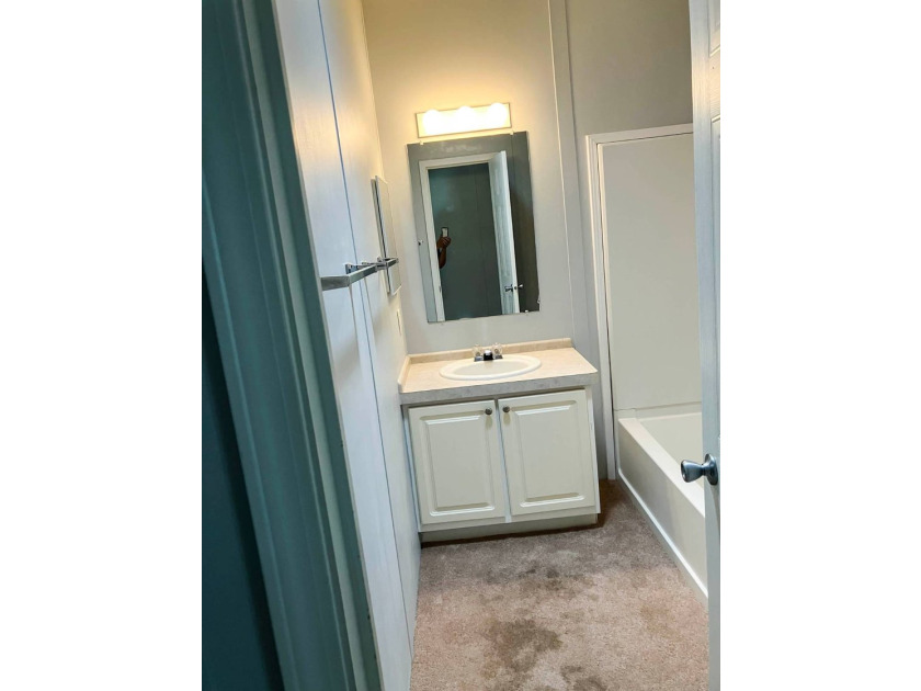 Welcome to this charming 3-bedroom, 2-bath Palm Harbor - photo 50