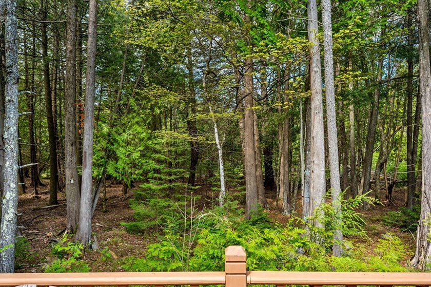 Tucked away in the woods and just a short walk from deeded water - photo 16