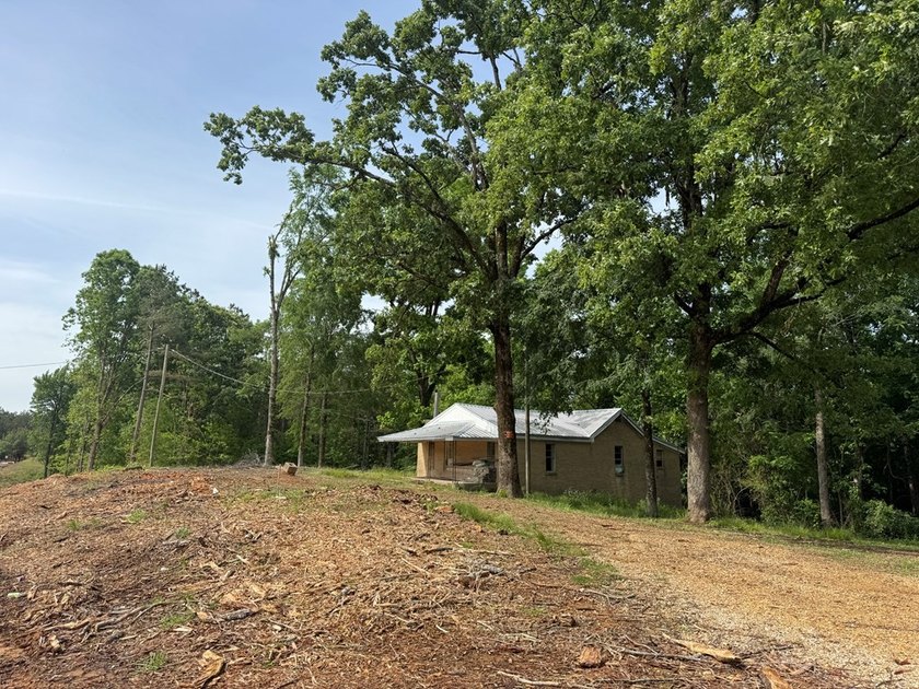 Located just north of Bruce, this 39 acre tract offers a strong - photo 18