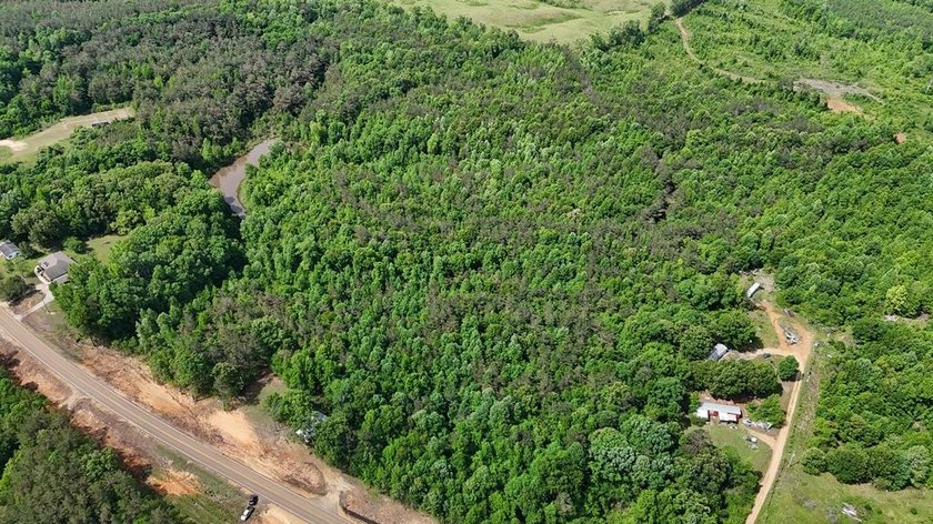 Located just north of Bruce, this 39 acre tract offers a strong - photo 23