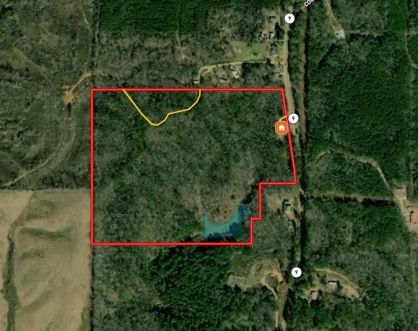 Located just north of Bruce, this 39 acre tract offers a strong - photo 24