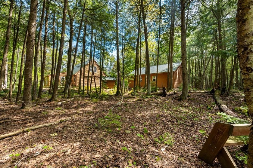 Tucked away in the woods and just a short walk from deeded water - photo 31