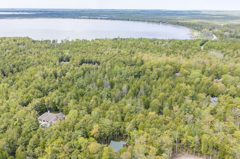 Tucked away in the woods and just a short walk from deeded water - photo 36