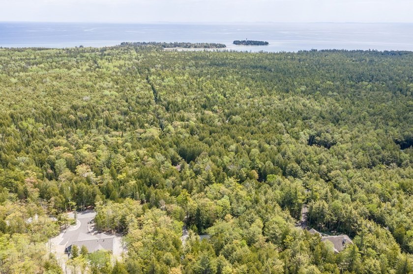 Tucked away in the woods and just a short walk from deeded water - photo 37