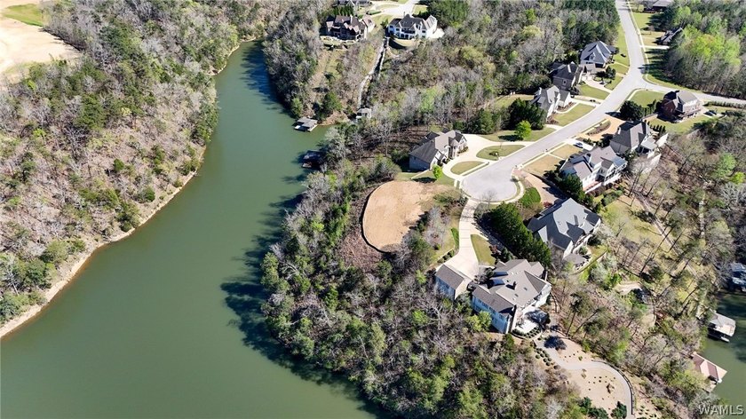 Rare opportunity to have this much water frontage on Lake - photo 6