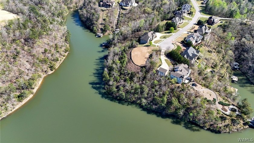 Rare opportunity to have this much water frontage on Lake - photo 7