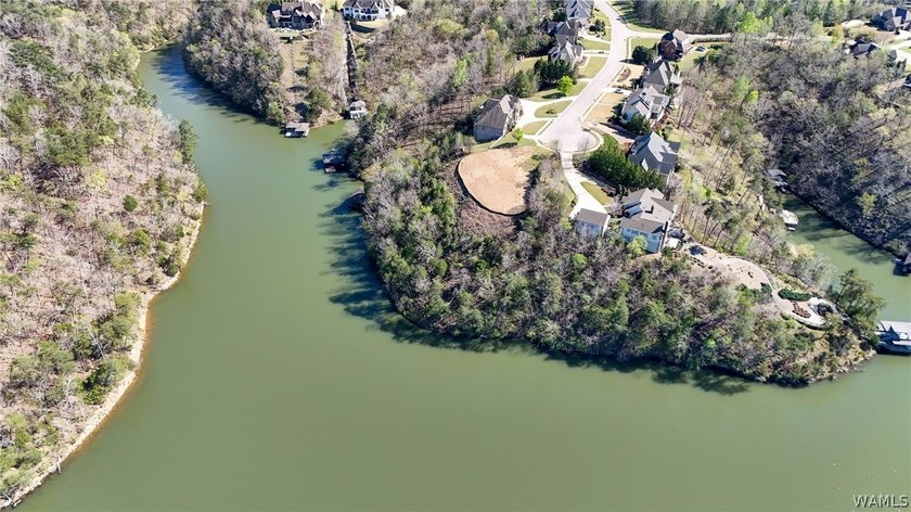 Rare opportunity to have this much water frontage on Lake - photo 8