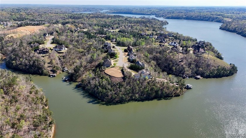 Rare opportunity to have this much water frontage on Lake - photo 10