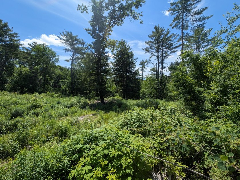 Soil tested and buildable, this scenic one-acre lot in - photo 4