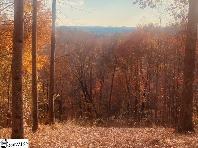 Fantastic opportunity at The Cliffs at Mountain Park, The - photo 3